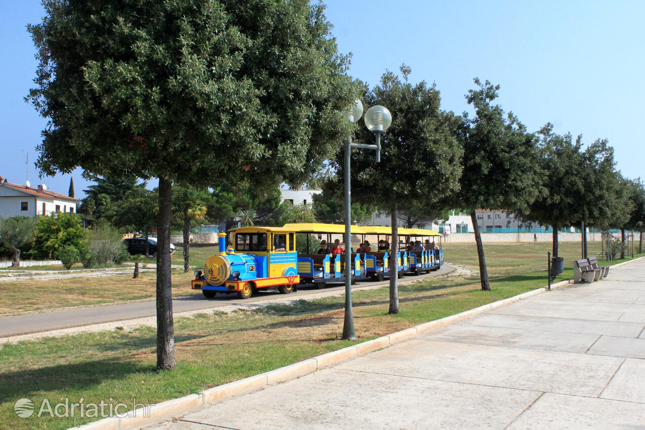 Umag na riviére Umag (Istra)