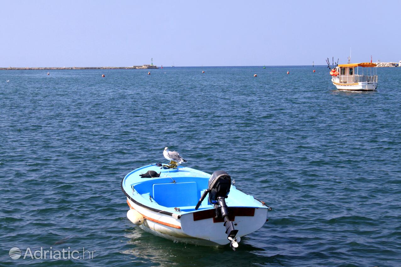 Umag na riviére Umag (Istra)