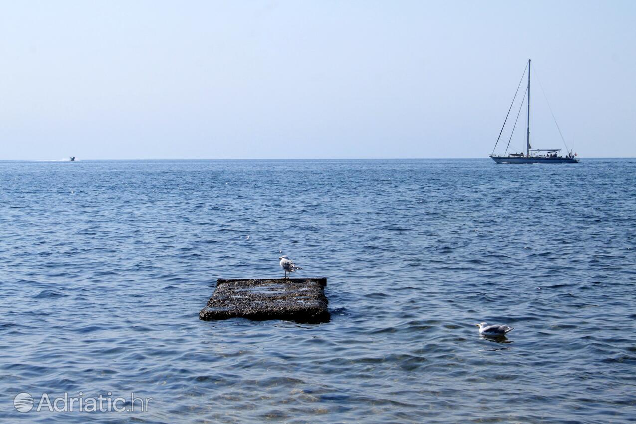 Umag na riviére Umag (Istra)