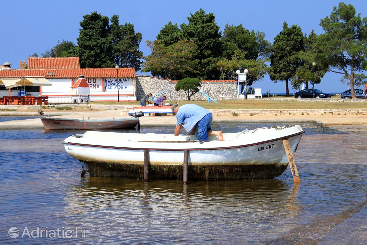 Umag na riwierze Umag (Istra)