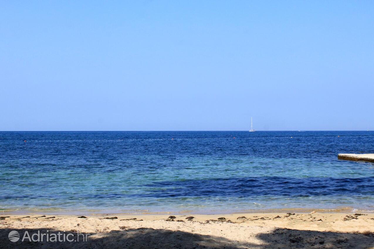 Spiagge nelle vicinanze - Appartamenti accanto al mare Umago - Umag
