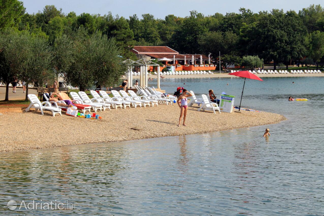 Spiagge nelle vicinanze - Appartamenti accanto al mare Umago - Umag