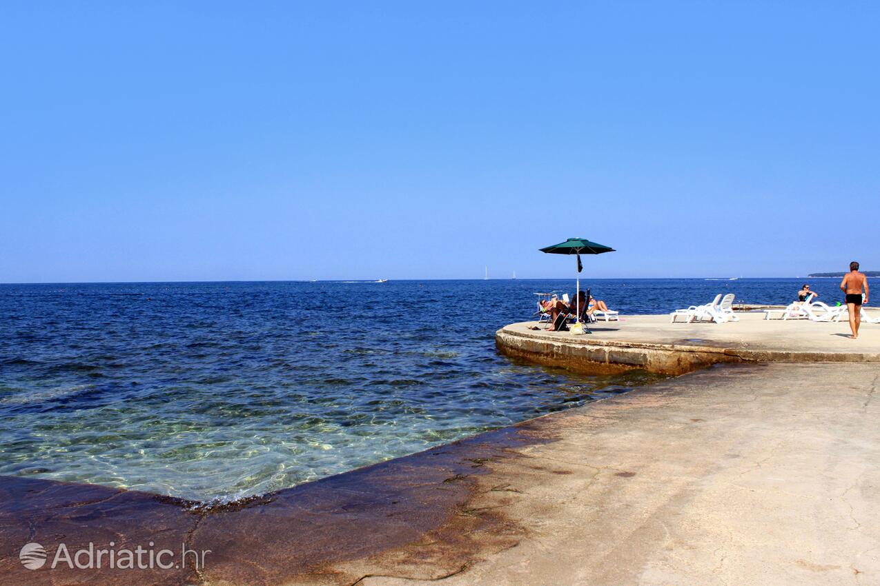 Spiagge nelle vicinanze - Appartamenti accanto al mare Umago - Umag