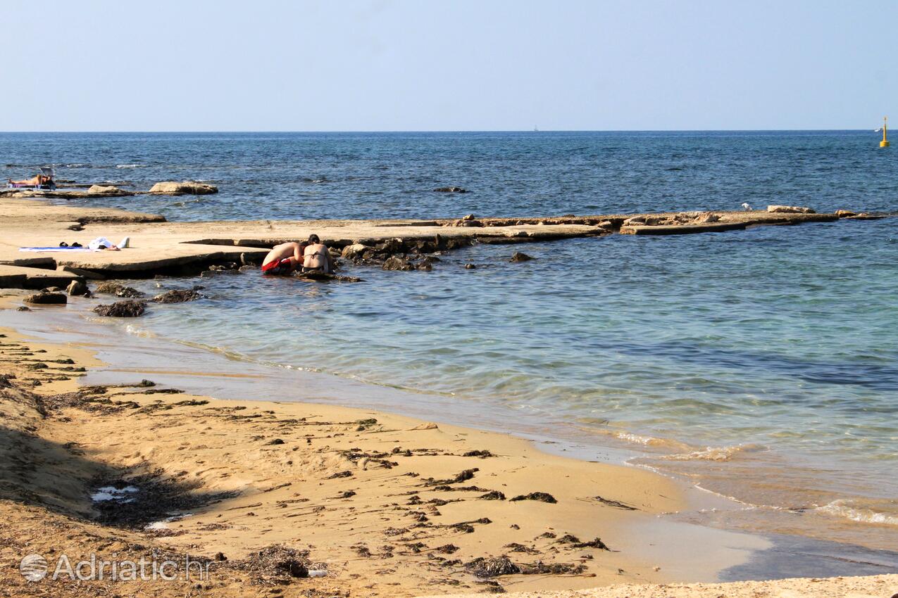 Spiagge nelle vicinanze - Appartamenti accanto al mare Umago - Umag