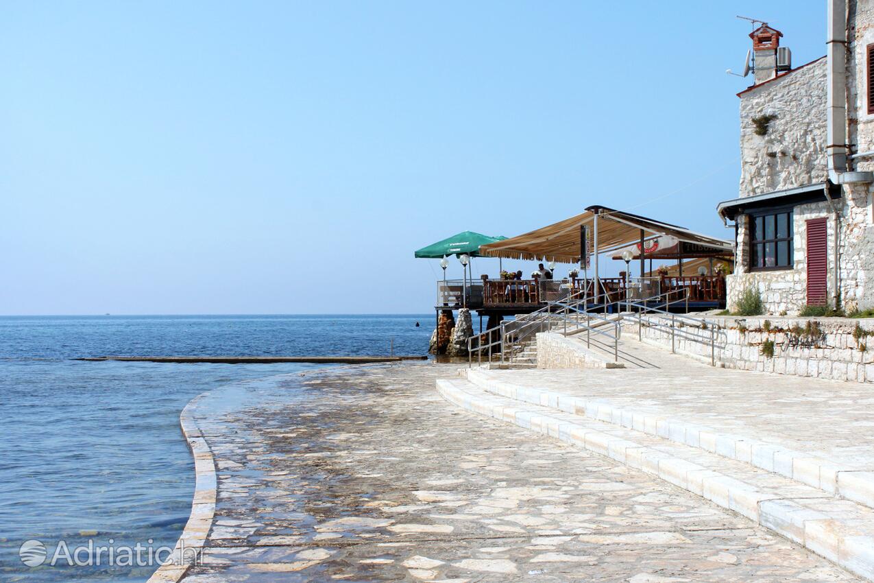 Spiagge nelle vicinanze - Appartamenti accanto al mare Umago - Umag