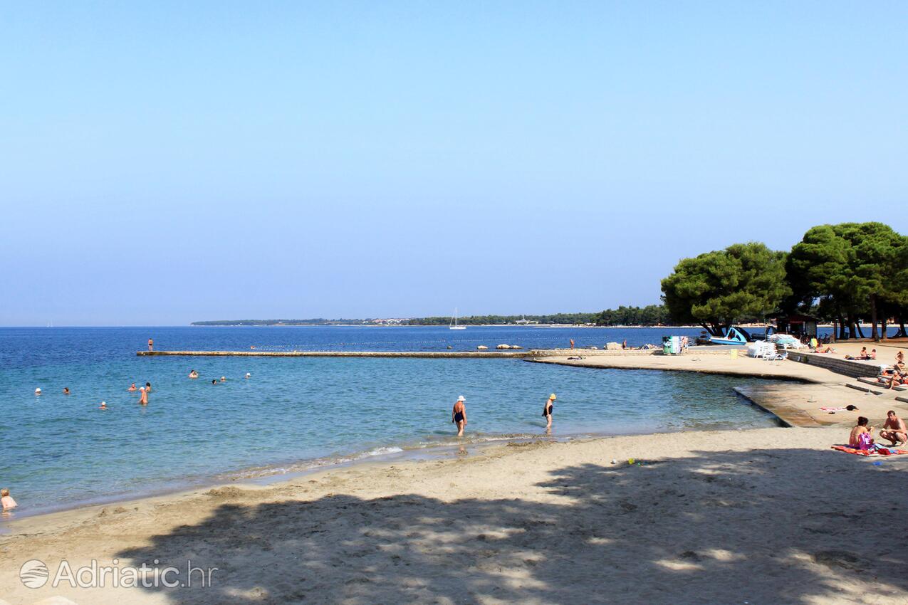 Spiagge nelle vicinanze - Appartamenti accanto al mare Umago - Umag