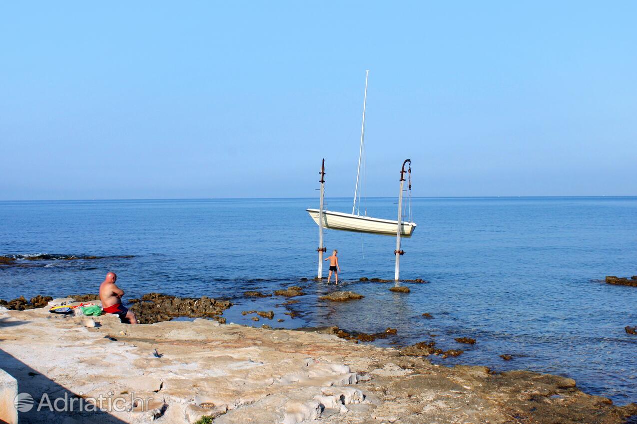 Spiagge nelle vicinanze - Appartamenti accanto al mare Umago - Umag