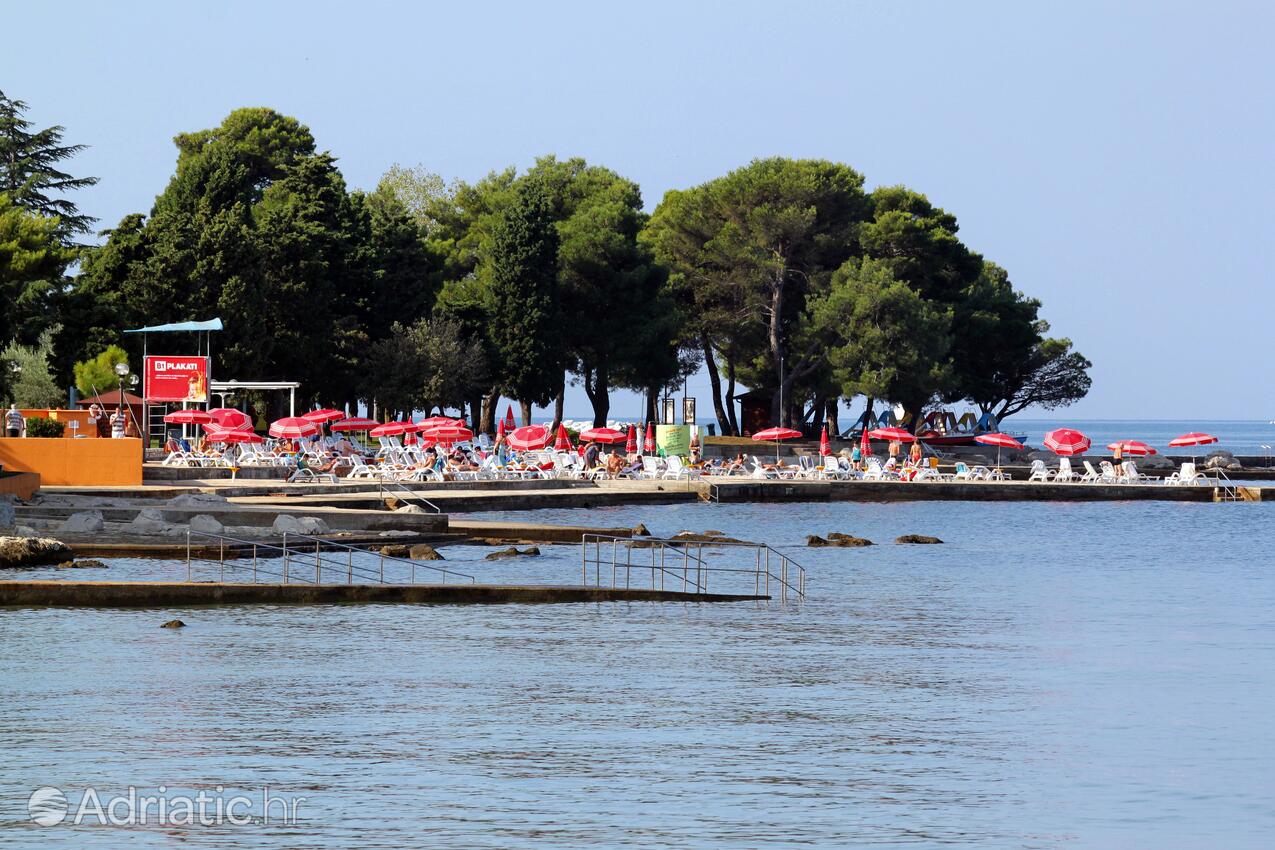 Spiagge nelle vicinanze - Appartamenti accanto al mare Umago - Umag