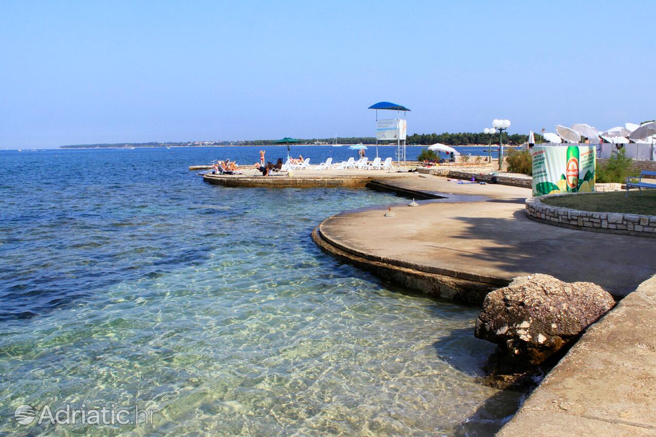 Spiagge nelle vicinanze - Appartamenti accanto al mare Umago - Umag