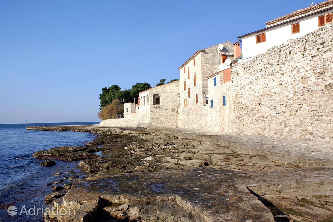 Novigrad - Appartamenti accanto al mare Novigrad