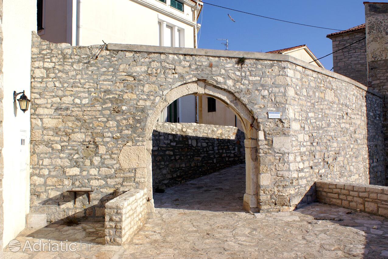 Novigrad - Appartamenti accanto al mare Novigrad