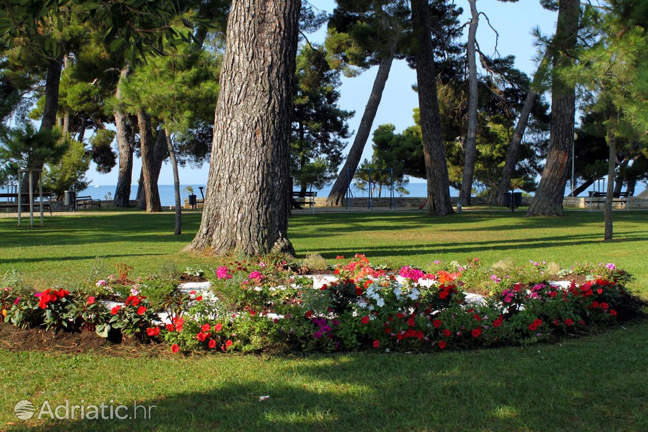 Novigrad - Appartamenti accanto al mare Novigrad