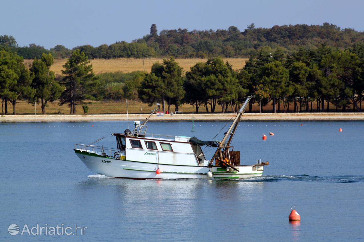 Novigrad - Appartamenti accanto al mare Novigrad