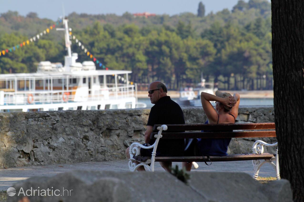 Novigrad - Appartamenti accanto al mare Novigrad
