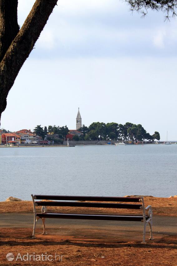 Novigrad - Appartamenti accanto al mare Novigrad