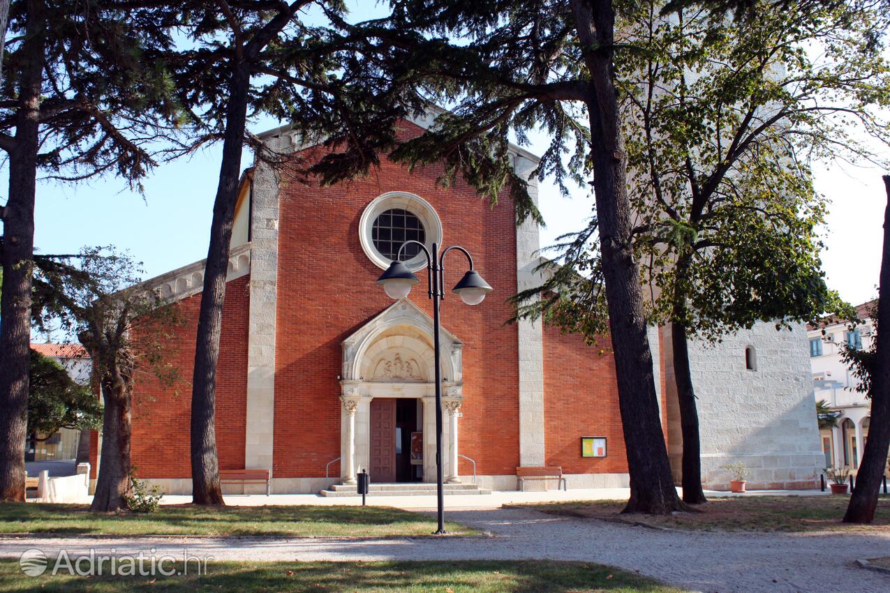 Novigrad - Appartamenti accanto al mare Novigrad