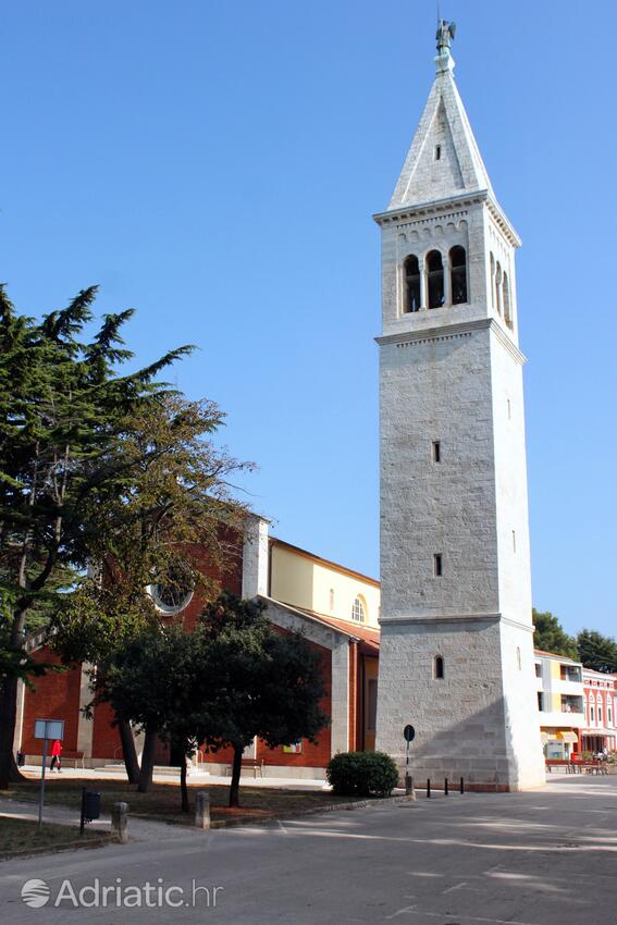 Novigrad - Appartamenti accanto al mare Novigrad