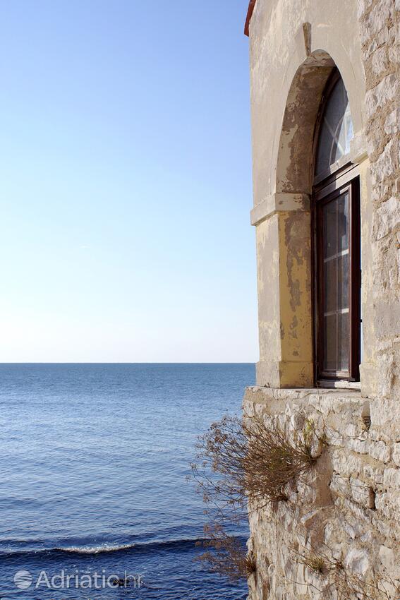 Novigrad - Appartamenti accanto al mare Novigrad