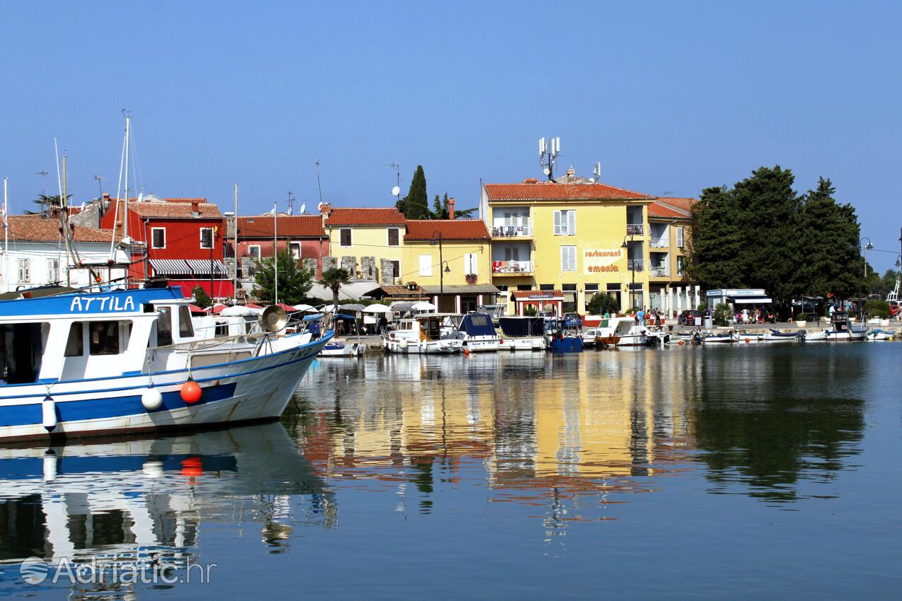 Novigrad - Appartamenti accanto al mare Novigrad