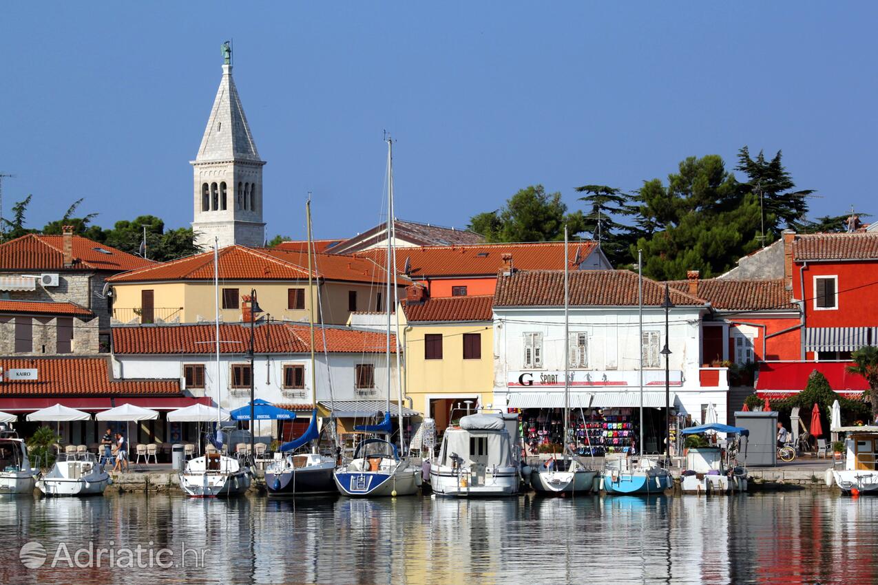 Novigrad - Appartamenti accanto al mare Novigrad