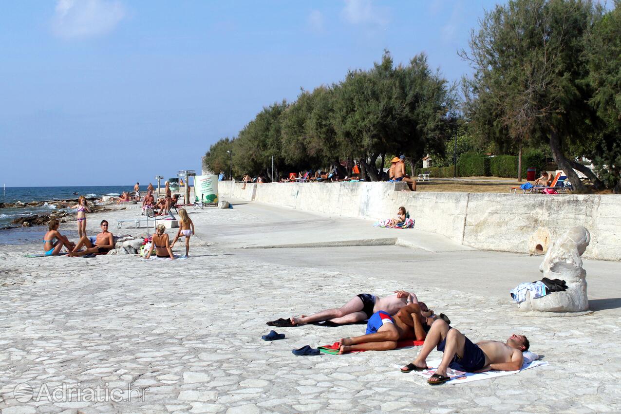 Spiagge nelle vicinanze - Appartamenti accanto al mare Novigrad