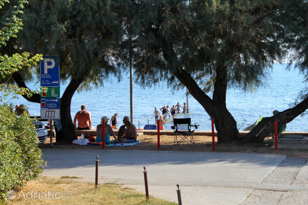 Spiagge nelle vicinanze - Appartamenti accanto al mare Novigrad