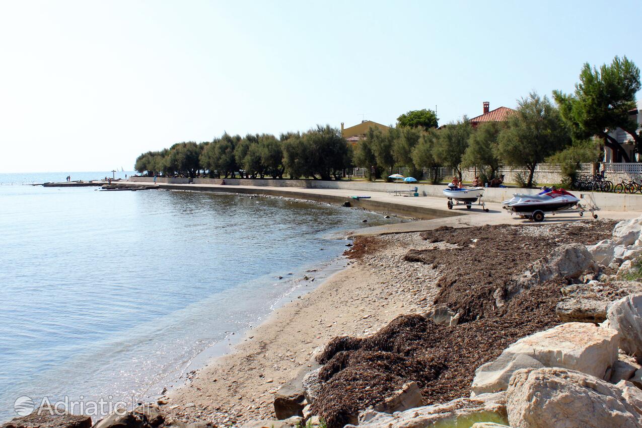 Spiagge nelle vicinanze - Appartamenti accanto al mare Novigrad