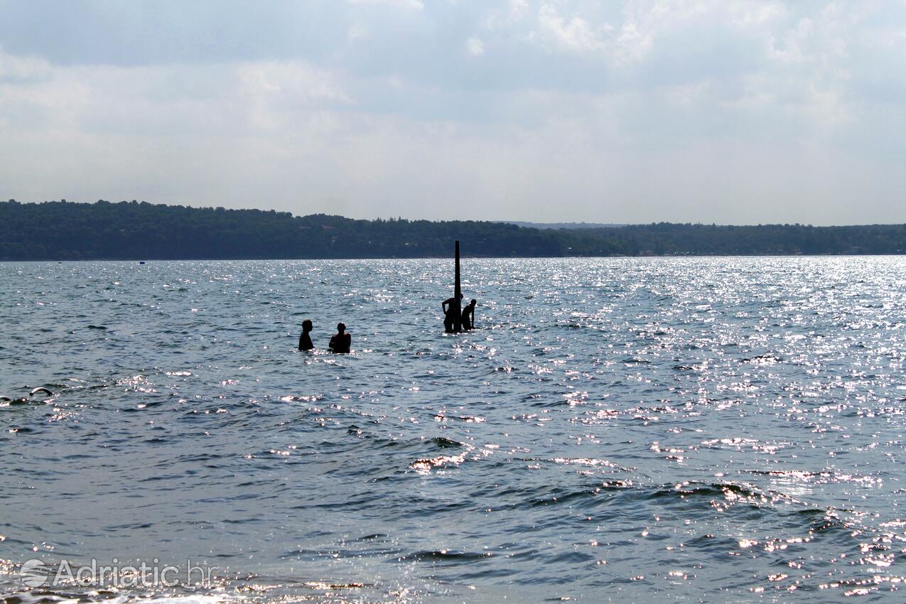 Spiagge nelle vicinanze - Appartamenti accanto al mare Novigrad