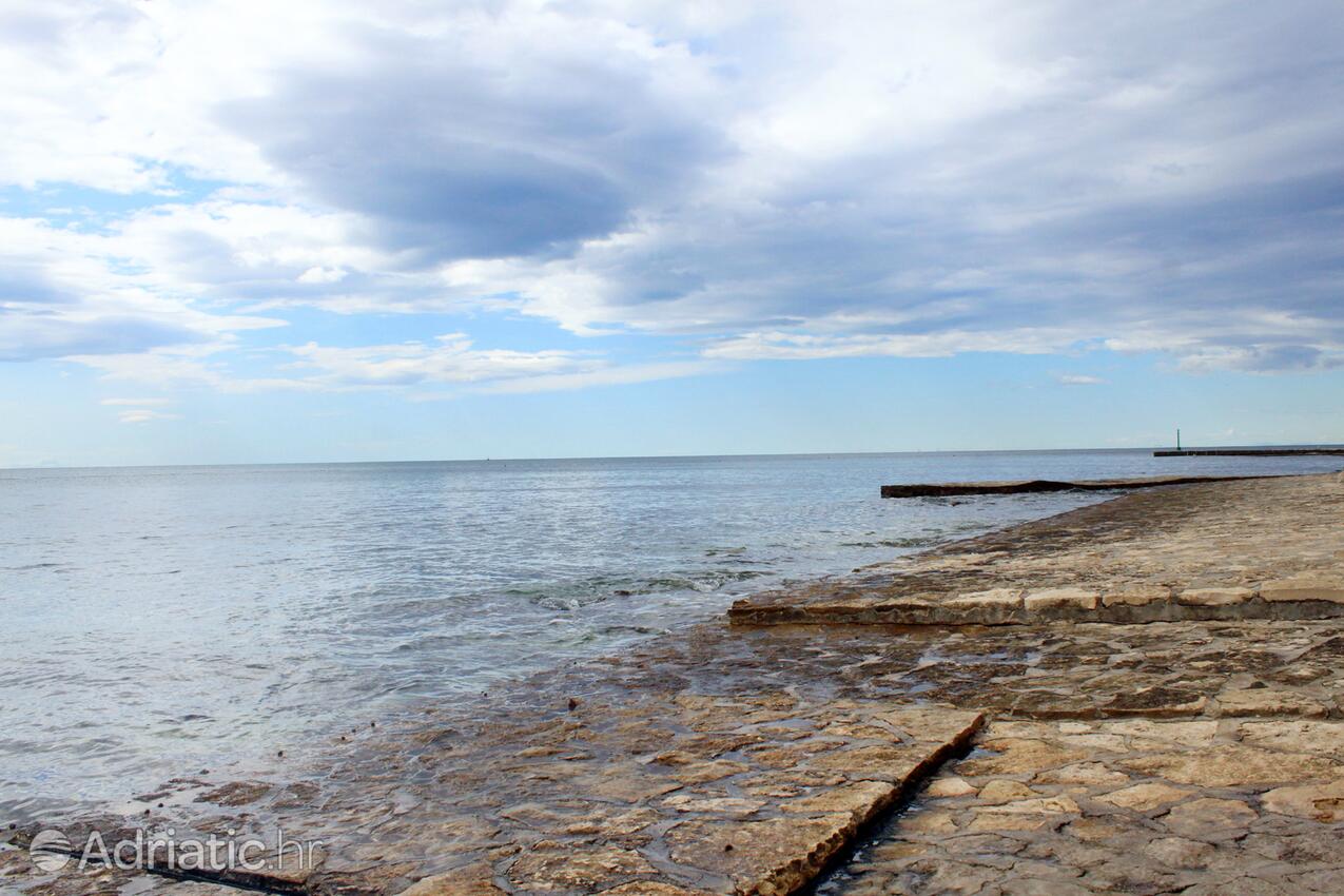 Spiagge nelle vicinanze - Appartamenti accanto al mare Novigrad