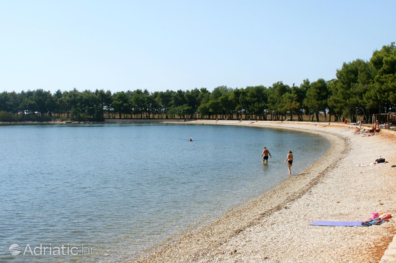 Spiagge nelle vicinanze - Appartamenti accanto al mare Novigrad