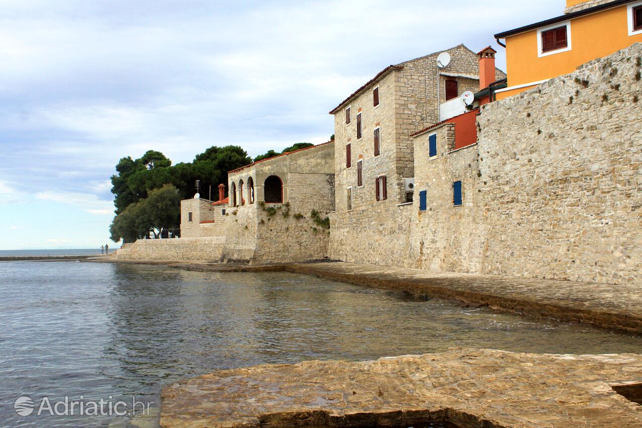 Spiagge nelle vicinanze - Appartamenti accanto al mare Novigrad