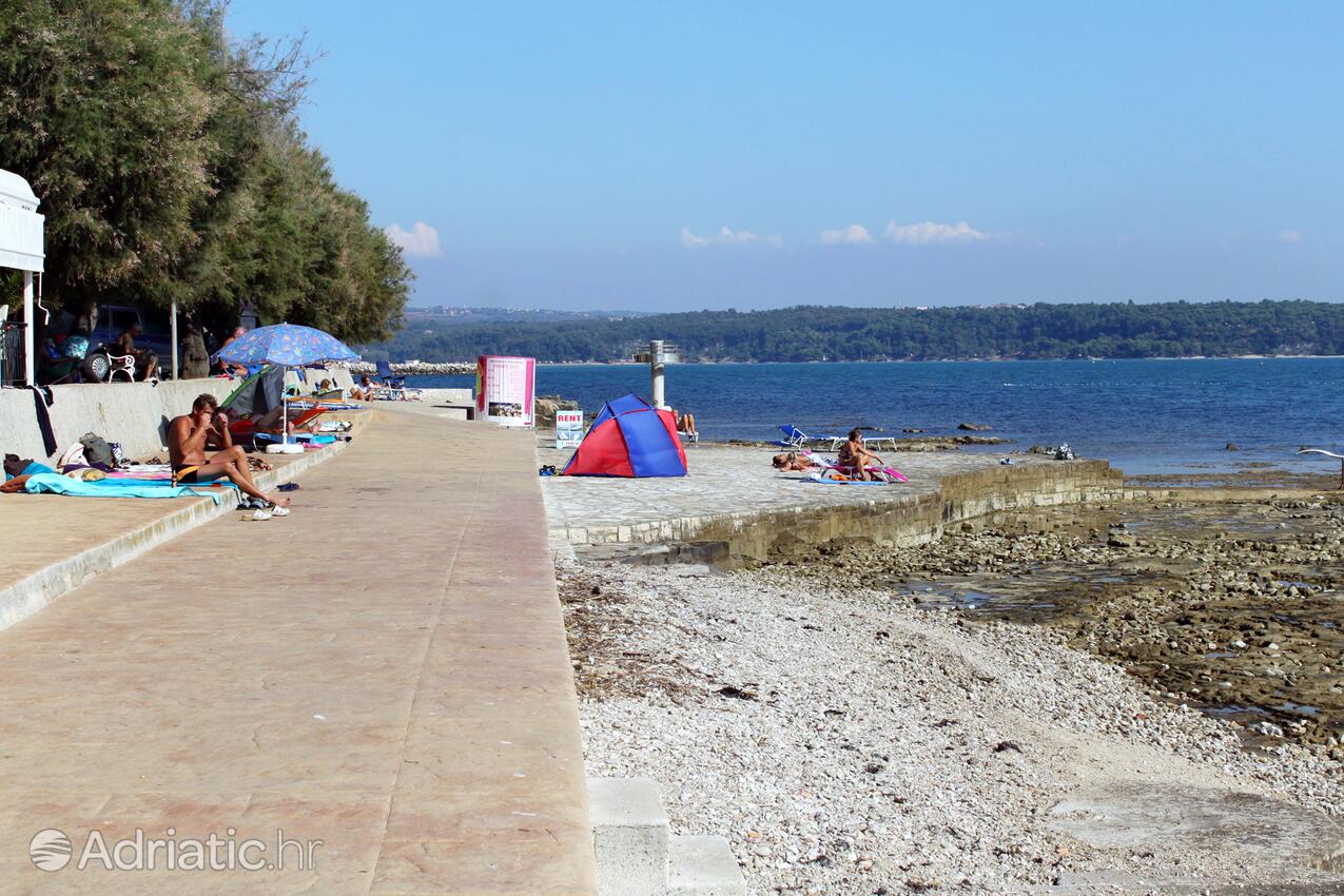 Spiagge nelle vicinanze - Appartamenti accanto al mare Novigrad