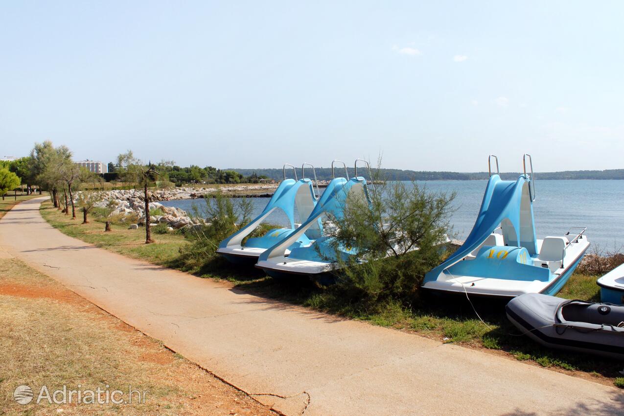 Spiagge nelle vicinanze - Appartamenti accanto al mare Novigrad