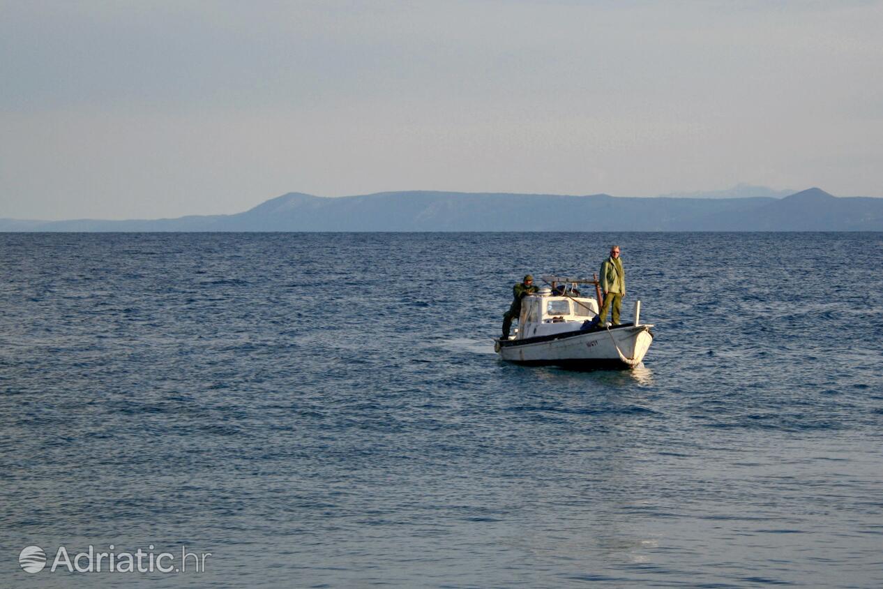 Bol på otoku Brač (Srednja Dalmacija)