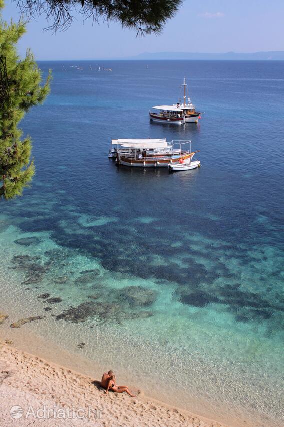 Bol på otoku Brač (Srednja Dalmacija)