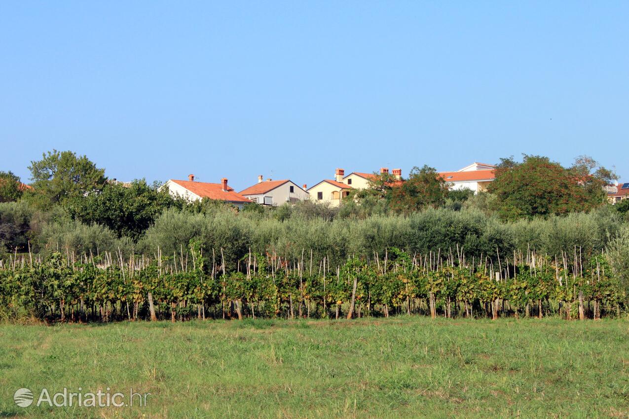 Zambratija i Rivieran Umag (Istra)