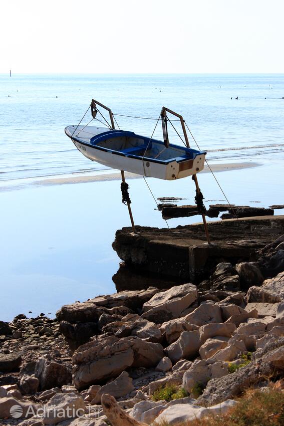 Zambratija na rivieri Umag (Istra)