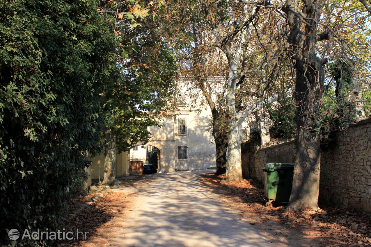 Dajla an der Riviera Novigrad (Istra)
