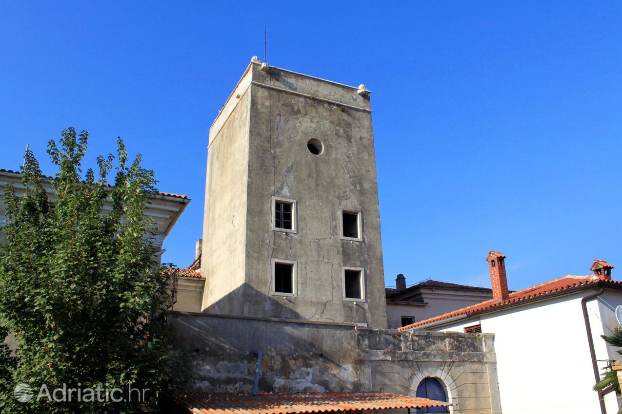 Dajla an der Riviera Novigrad (Istra)