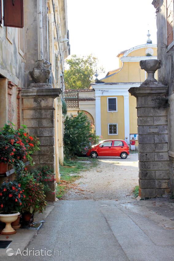Dajla an der Riviera Novigrad (Istra)