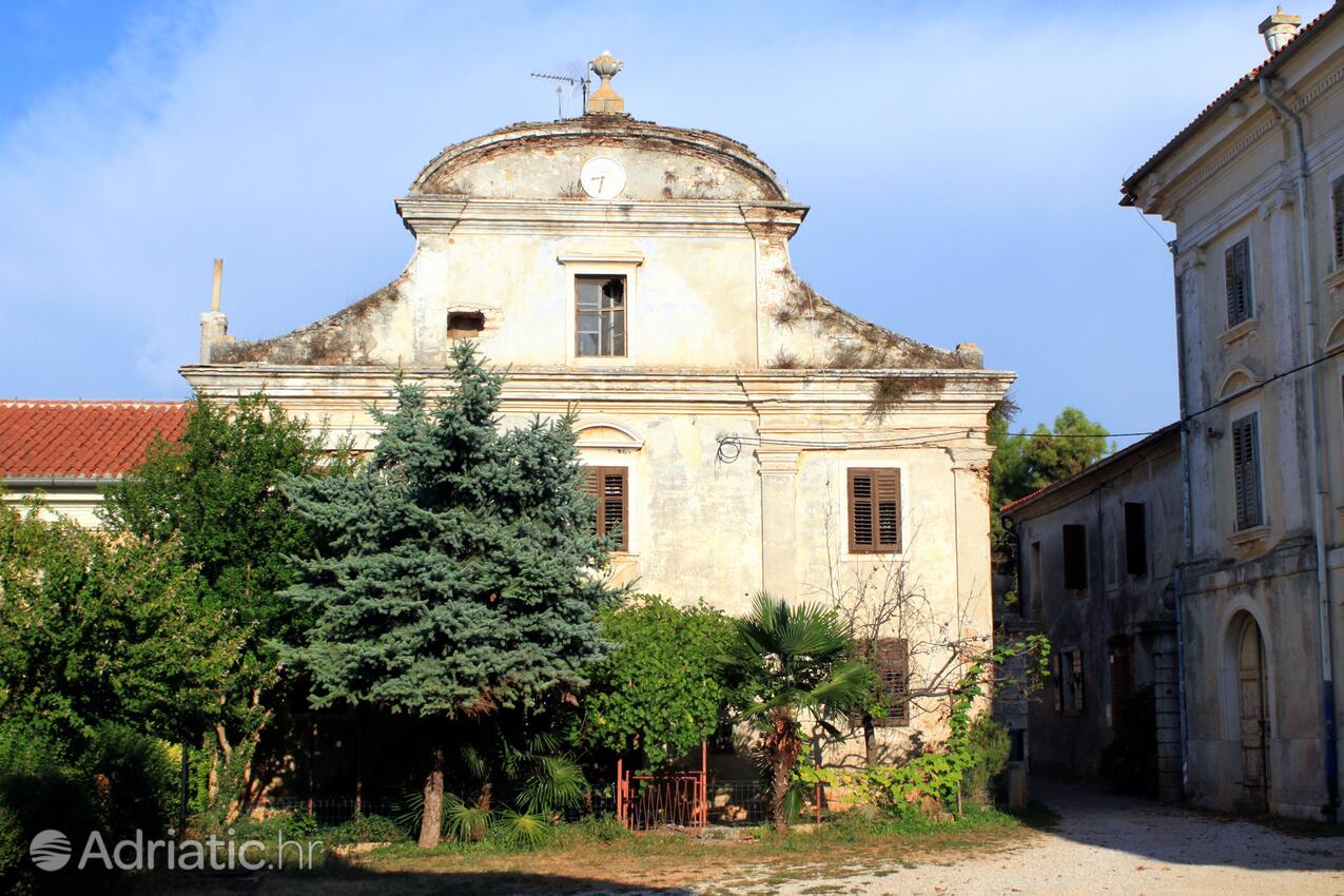 Dajla an der Riviera Novigrad (Istra)