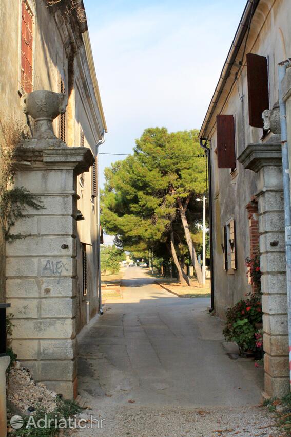 Dajla an der Riviera Novigrad (Istra)