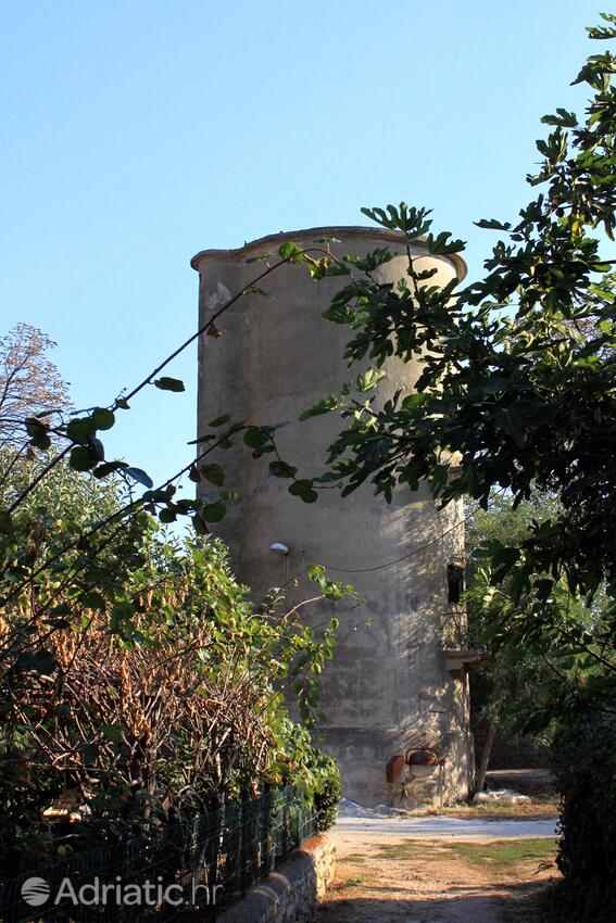 Dajla an der Riviera Novigrad (Istra)