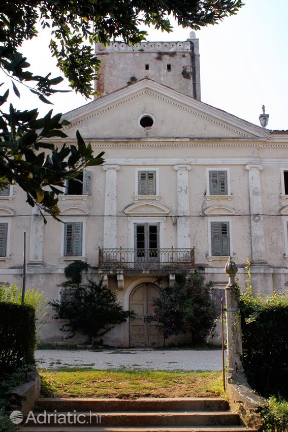 Dajla an der Riviera Novigrad (Istra)