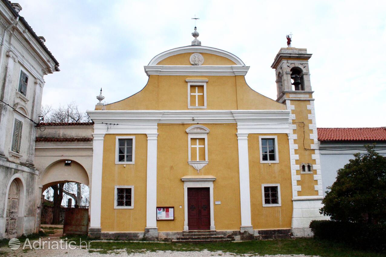 Dajla an der Riviera Novigrad (Istra)