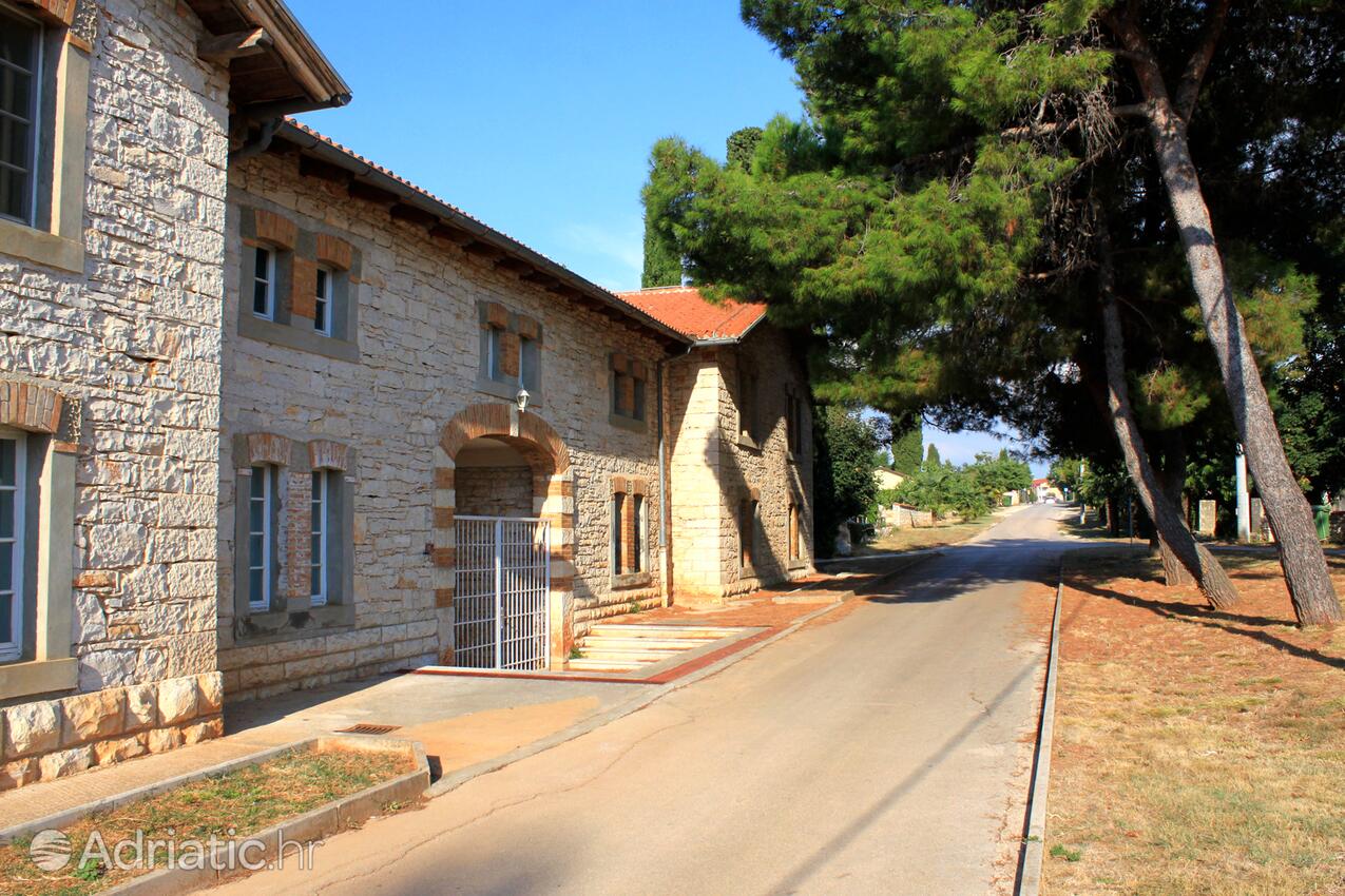 Dajla an der Riviera Novigrad (Istra)