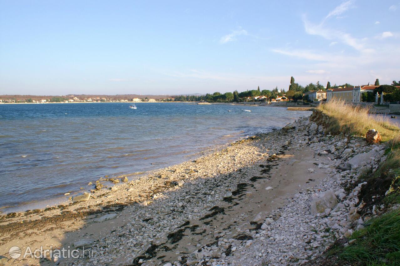 Strände in der Nähe - Ferienwohnungen am Meer Dajla, Novigrad