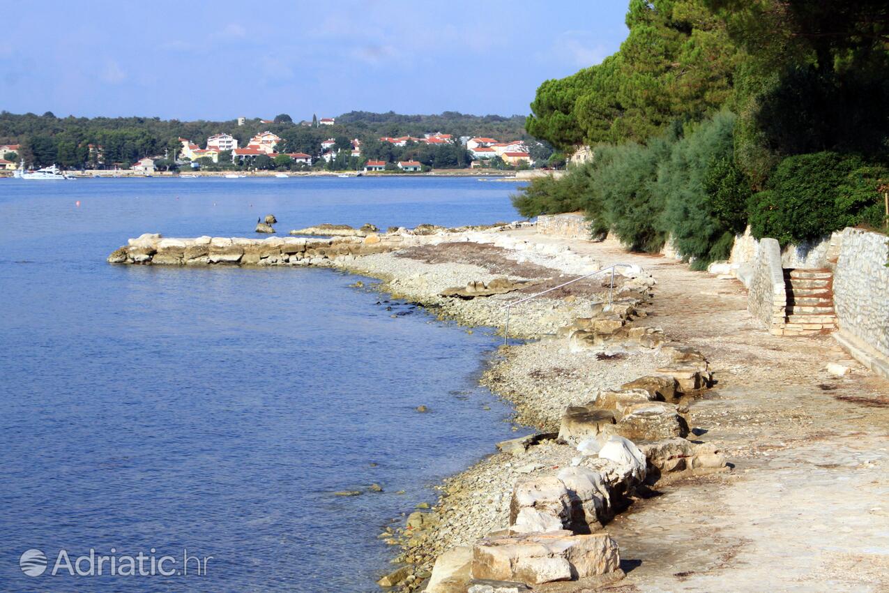 Strände in der Nähe - Ferienwohnungen am Meer Dajla, Novigrad