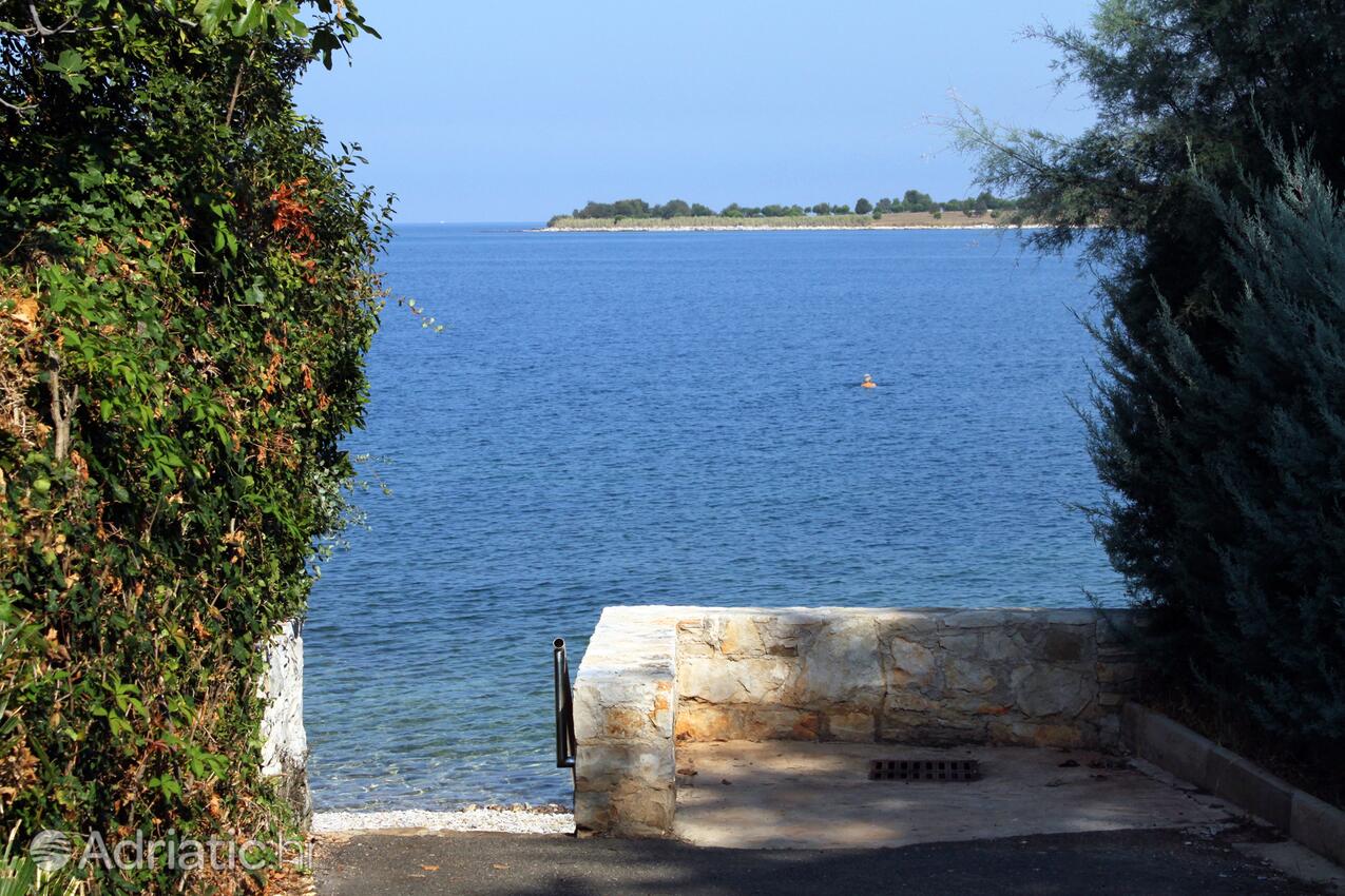 Strände in der Nähe - Ferienwohnungen am Meer Dajla, Novigrad