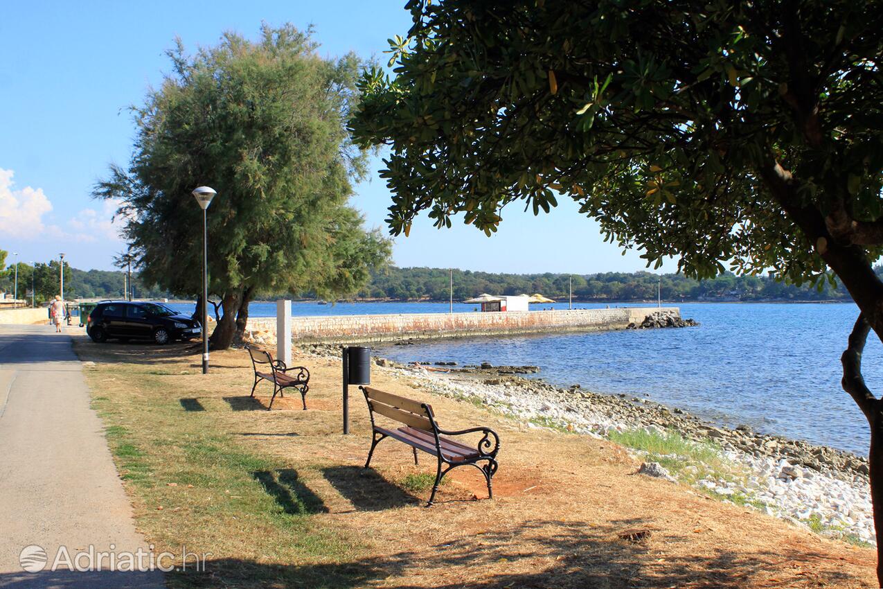 Lovrečica in riviera Umag (Istra)